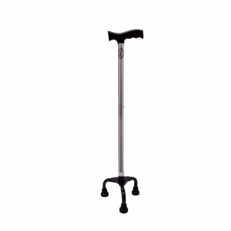 Karma Ryder WS-310 ST Silver Walking Stick