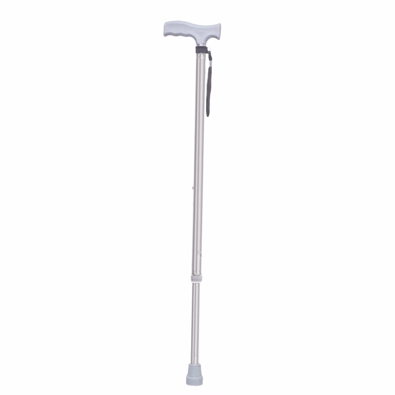 Karma Ryder WS-121 AN Silver Walking Stick