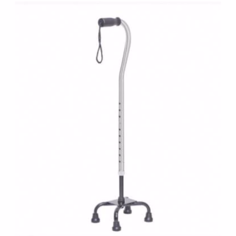 Karma Ryder WS-420 ST Silver Walking Stick
